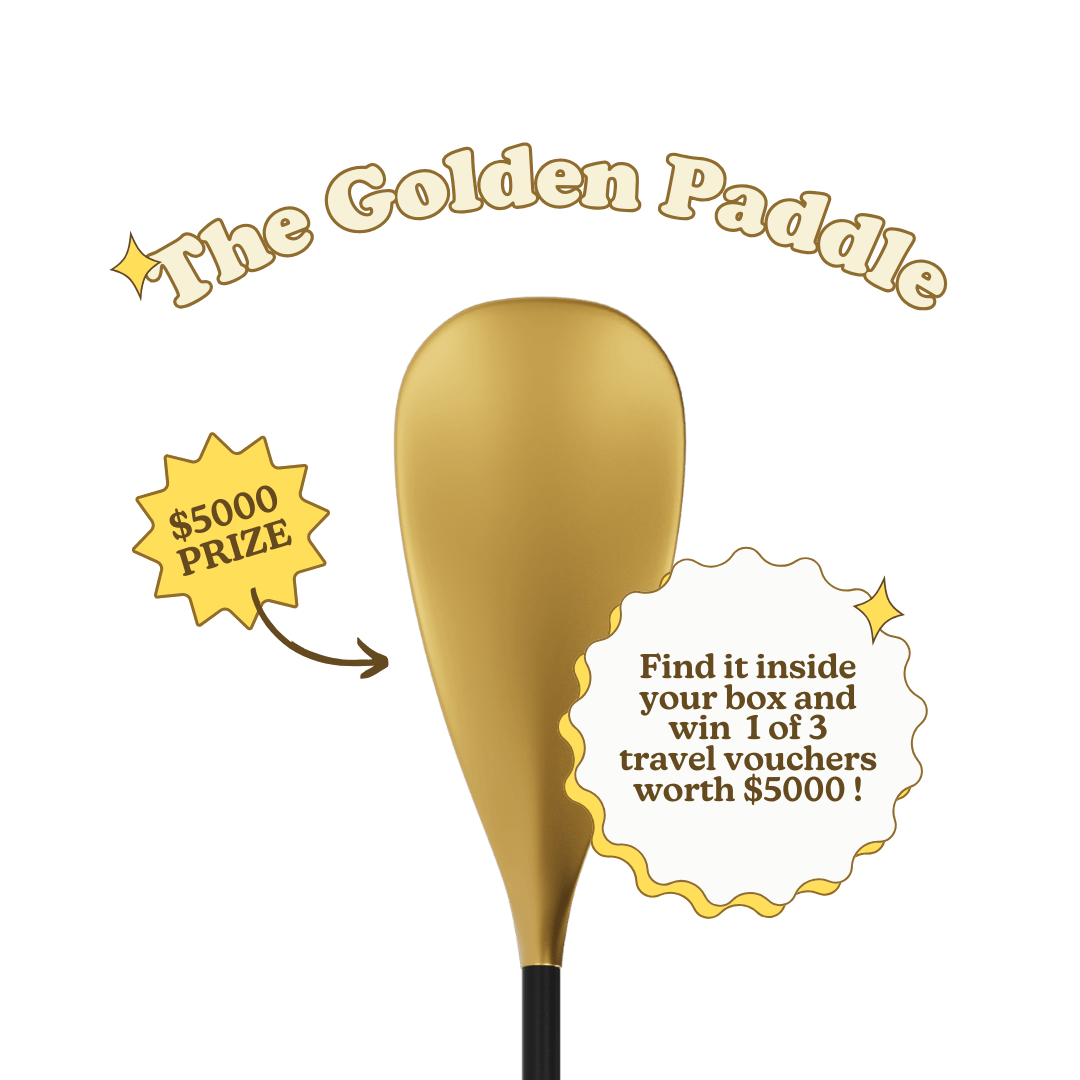 Get Stargazer Inflatable Paddle board SUP - 10'6” | Maddle SS24